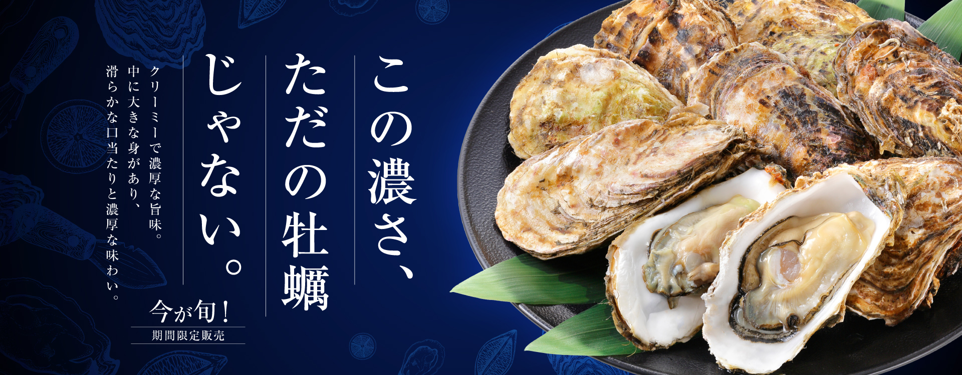 この濃さ、ただの牡蠣じゃない